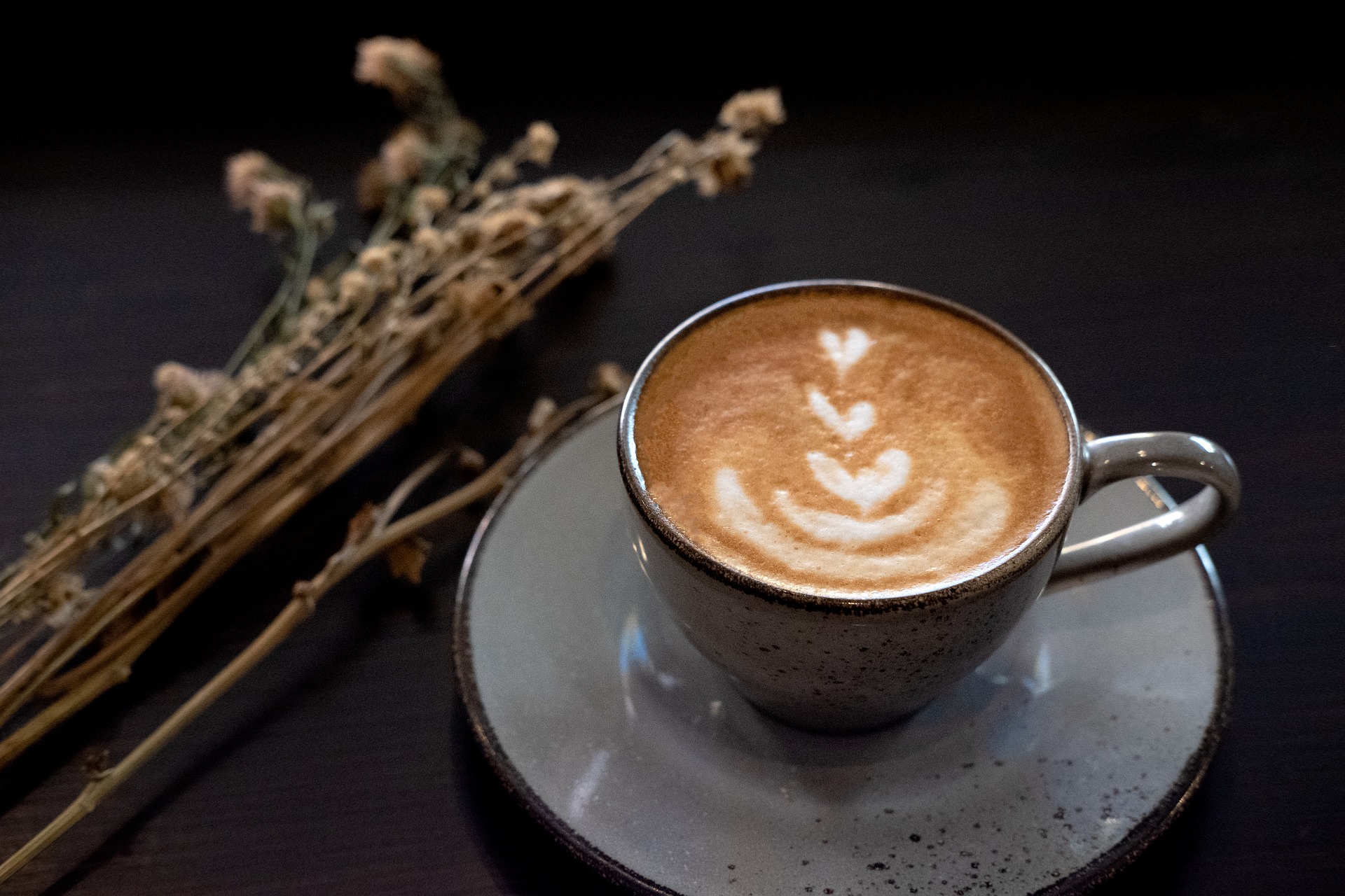 Cafe Factory Barista Cafe Factory Barista